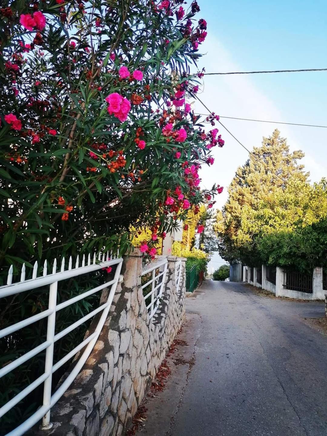 Apartmani Ljubica Утьеха Экстерьер фото